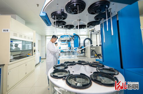 奮力譜寫中國(guó)式現(xiàn)代化建設(shè)河北篇章 | 解碼石藥 創(chuàng)新引領(lǐng)的“藥”素密碼